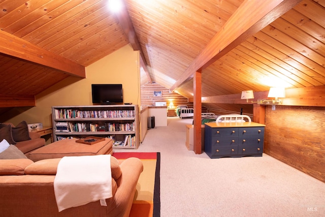 130 Valley Creek Rd, Stanley, ID 83278 - carpeted bedroom with wood ceiling