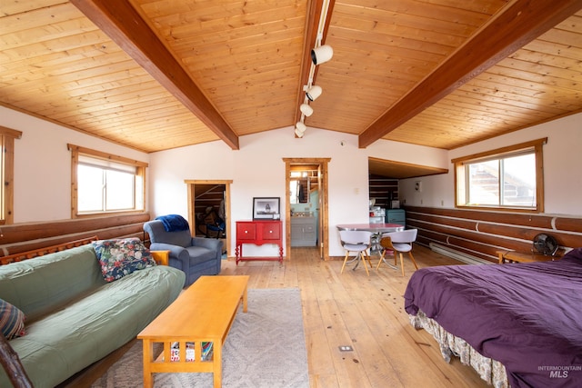 130 Valley Creek Rd, Stanley, ID 83278 - bedroom featuring wooden ceiling, light wood-type flooring, a walk in closet, and ensuite bath