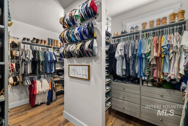 spacious closet featuring wood finished floors