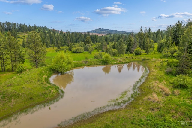 478AND716 Three Bear Rd, Kendrick, ID 83537 - water view with a forest and a mountainous background