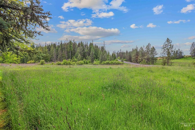 478AND716 Three Bear Rd, Kendrick, ID 83537 - view of yard featuring a view of countryside and a forest view