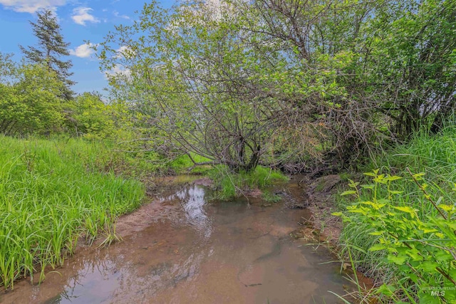 478AND716 Three Bear Rd, Kendrick, ID 83537 - water view