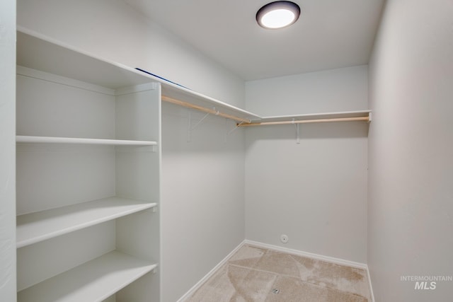 spacious closet with light carpet