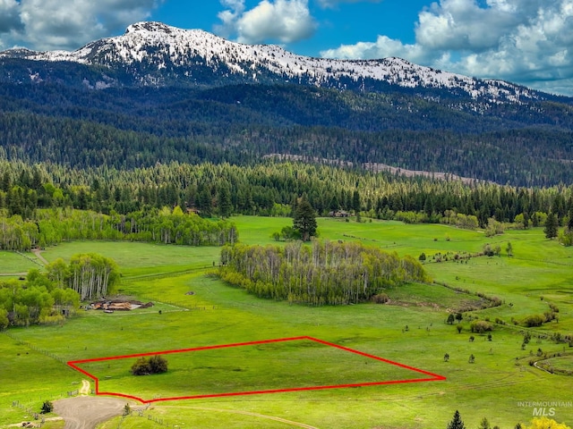 TBD Shaw Rd, Mccall, ID 83638