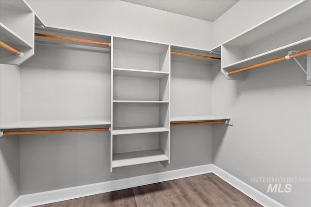 walk in closet with wood finished floors