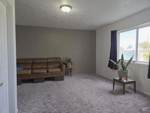 carpeted living area with a textured ceiling