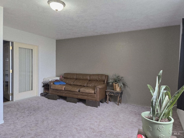 living area with carpet and a textured ceiling