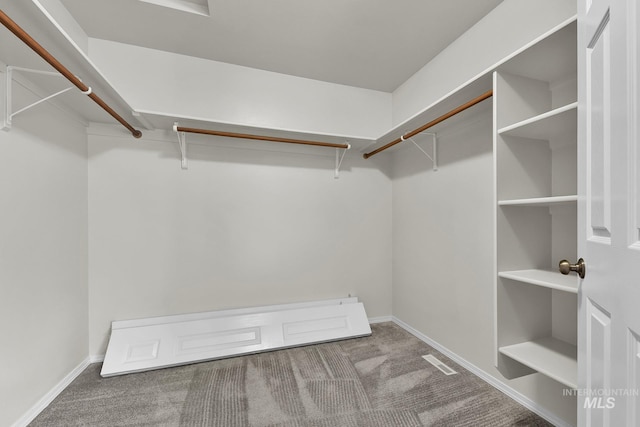 walk in closet featuring visible vents and carpet flooring