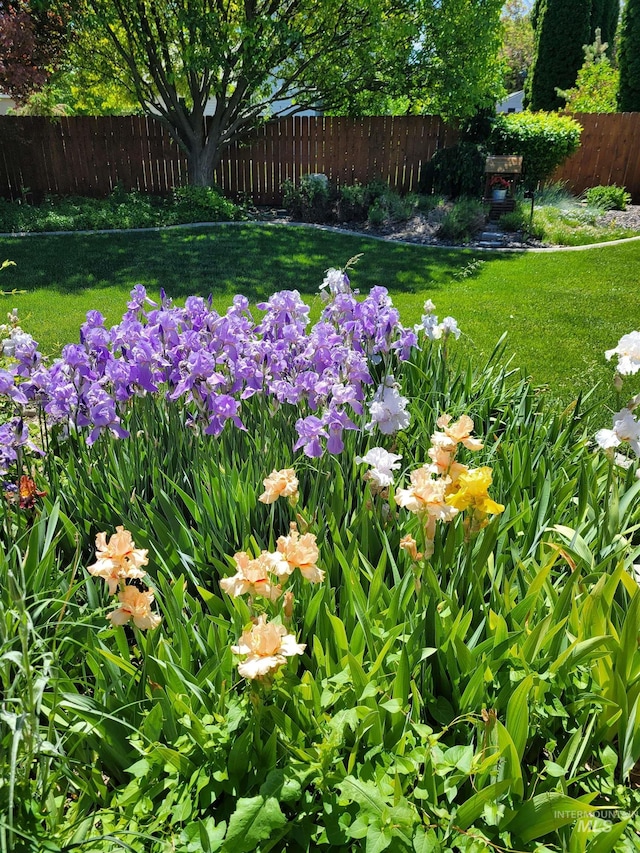 view of yard featuring fence