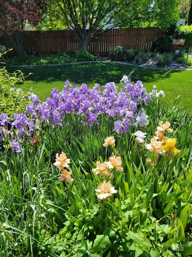 view of yard with fence