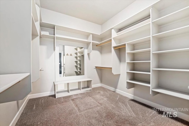 12225 W Indus Dr, Star, ID 83669 - walk in closet with carpet flooring