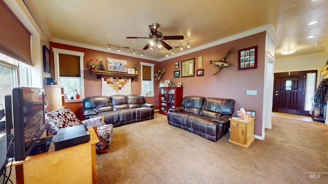 living room featuring ceiling fan, rail lighting, baseboards, ornamental molding, and carpet