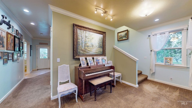 sitting room featuring carpet floors, ornamental molding, baseboards, and a wealth of natural light