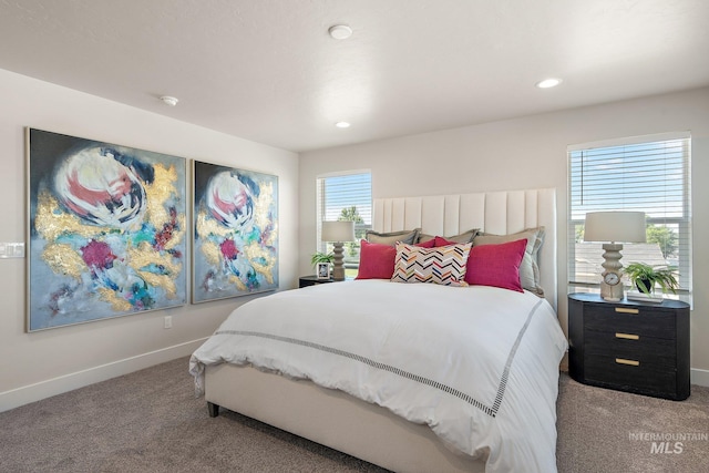 1210 Stirling Meadows Ct, Middleton, ID 83644 - bedroom featuring carpet, baseboards, and recessed lighting