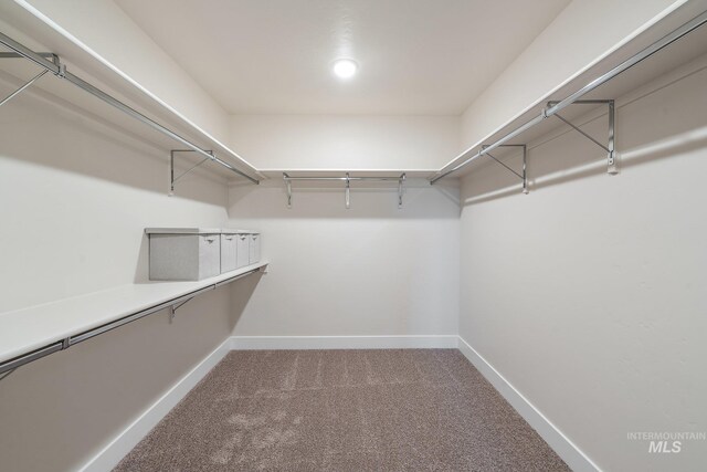 1210 Stirling Meadows Ct, Middleton, ID 83644 - walk in closet with carpet flooring