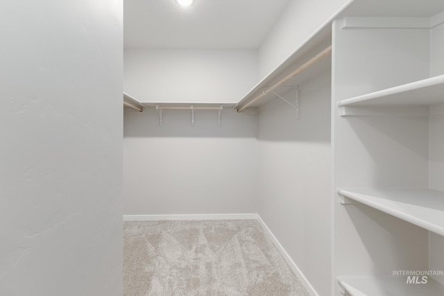 spacious closet with carpet flooring