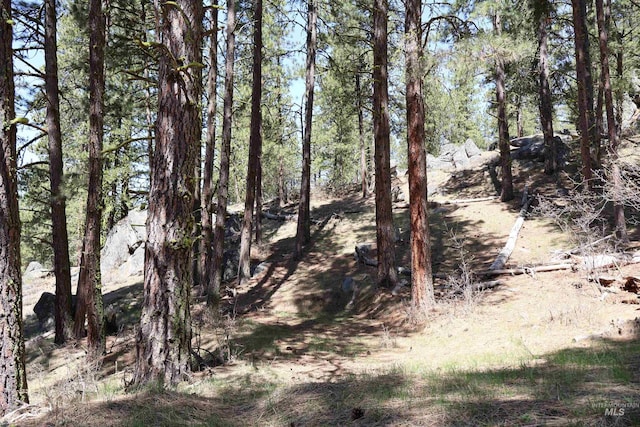 1264 Wickham Way, Cascade, ID 83611