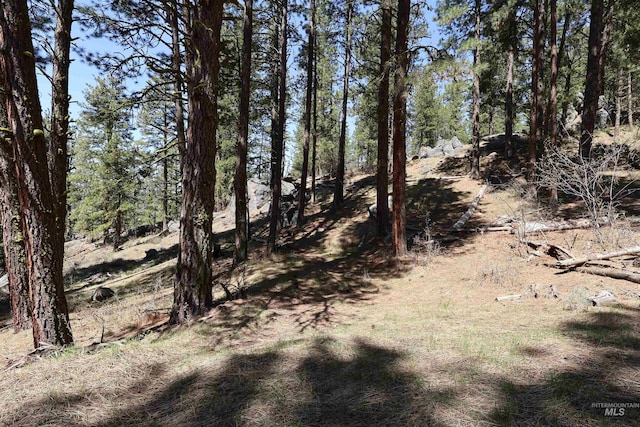 1264 Wickham Way, Cascade, ID 83611
