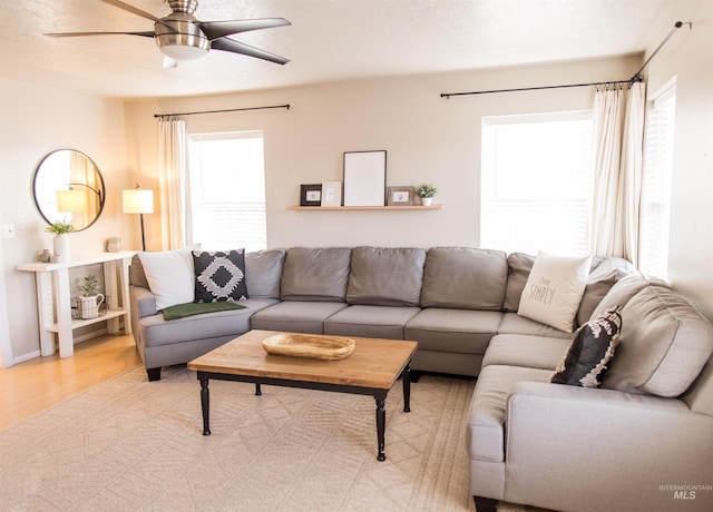 living room with plenty of natural light, ceiling fan, and light hardwood / wood-style flooring