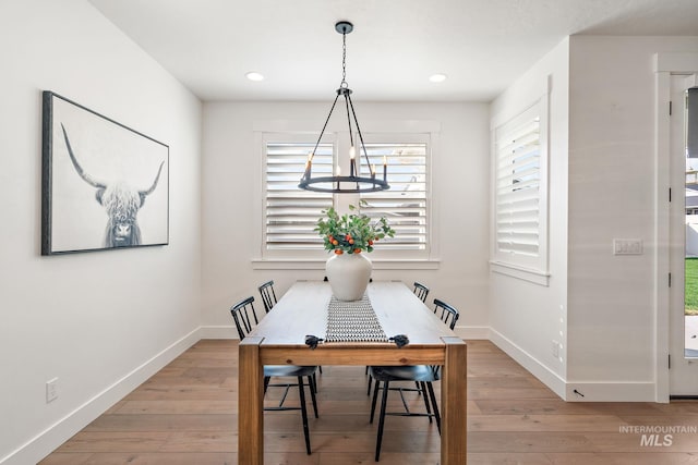 dining area with light hardwood / wood-style floors