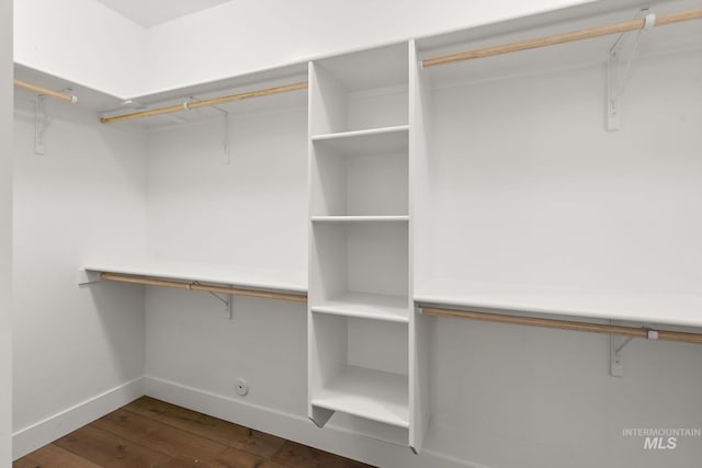 spacious closet featuring dark hardwood / wood-style flooring