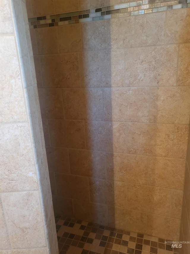 interior details with tiled shower