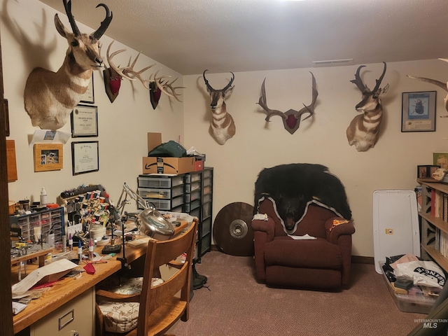 view of carpeted home office