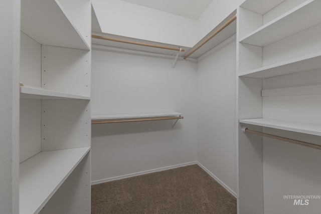 spacious closet featuring dark carpet