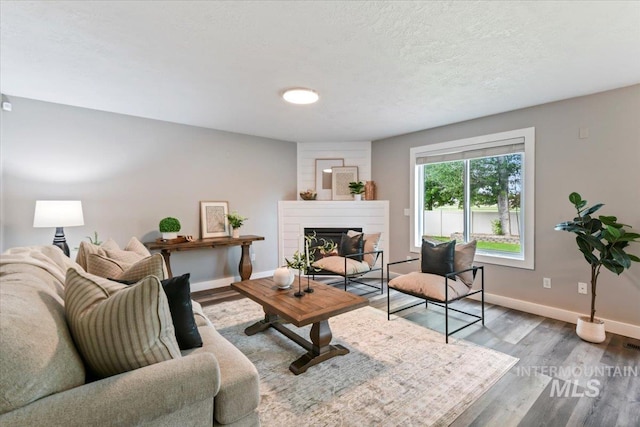 2513 S Vineyard St, Nampa, ID 83686 - living area featuring baseboards, wood finished floors, a glass covered fireplace, and a textured ceiling
