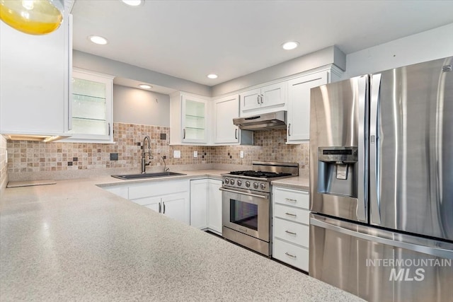 7301 W Diamond St, Boise, ID 83709 - kitchen featuring appliances with stainless steel finishes, a sink, under cabinet range hood, glass insert cabinets, and recessed lighting