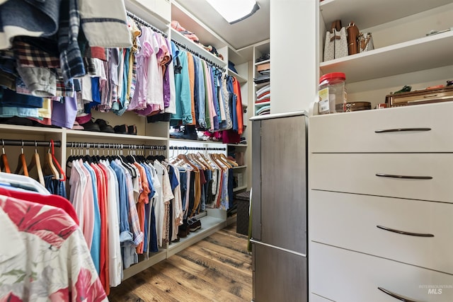 spacious closet with hardwood / wood-style flooring