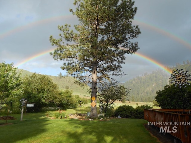 view of yard with a mountain view