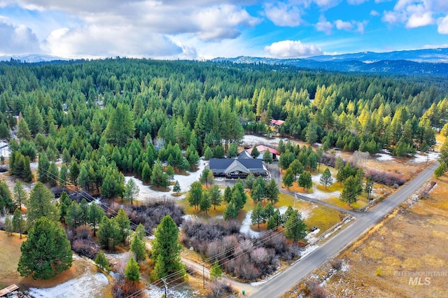 bird's eye view with a mountain view