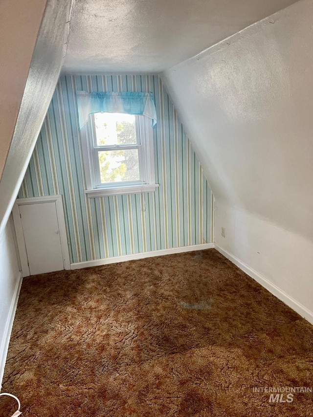bonus room with lofted ceiling, a textured ceiling, baseboards, and carpet floors