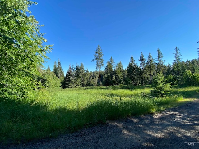 TBD Buckboard Ln, Waha ID, 83501 land for sale