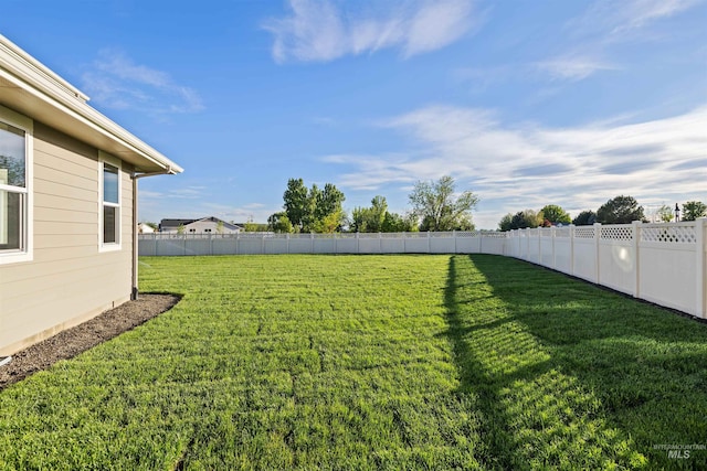 view of yard
