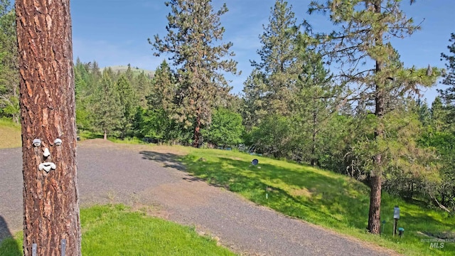 544 Ridgewood Dr, Kooskia, ID 83539