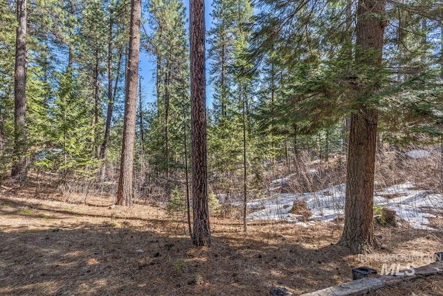 view of nature featuring a wooded view