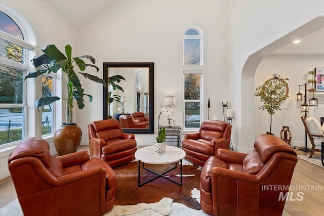 living room featuring arched walkways, a towering ceiling, wood finished floors, and a wealth of natural light