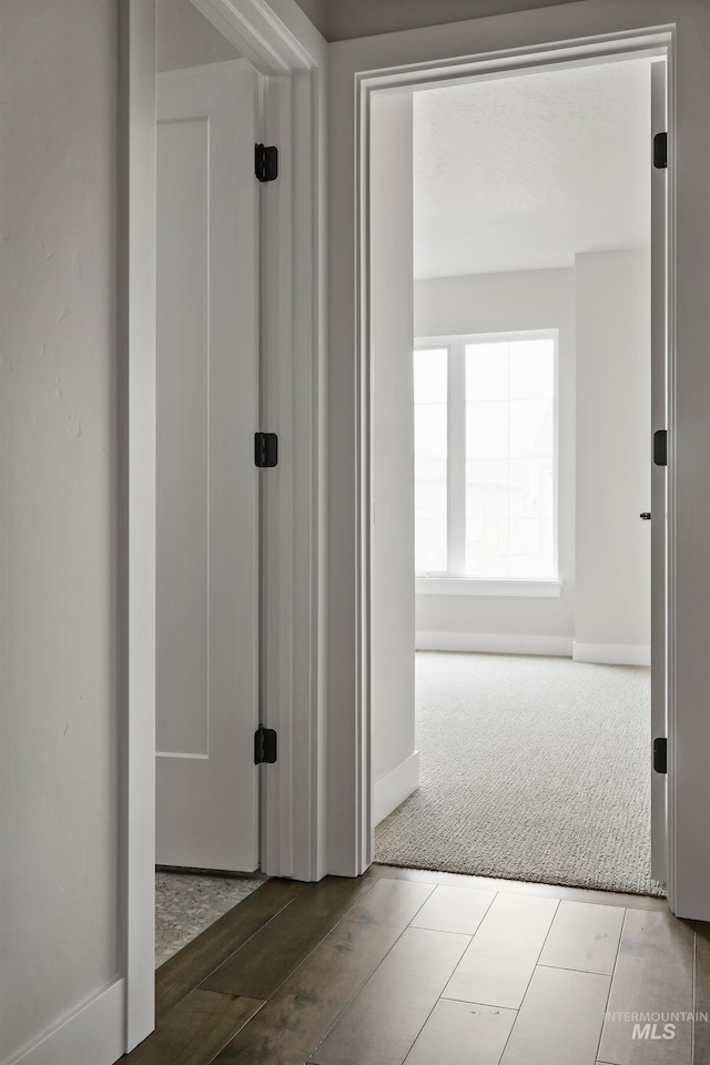 corridor with baseboards and carpet floors