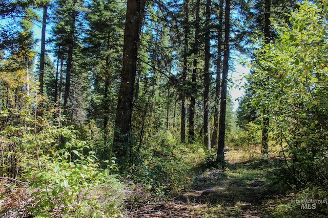 1204 Porcupine Rd, Cascade, ID 83611