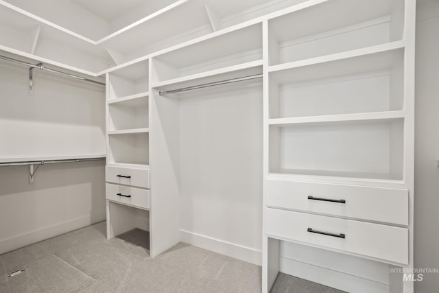 spacious closet with carpet floors