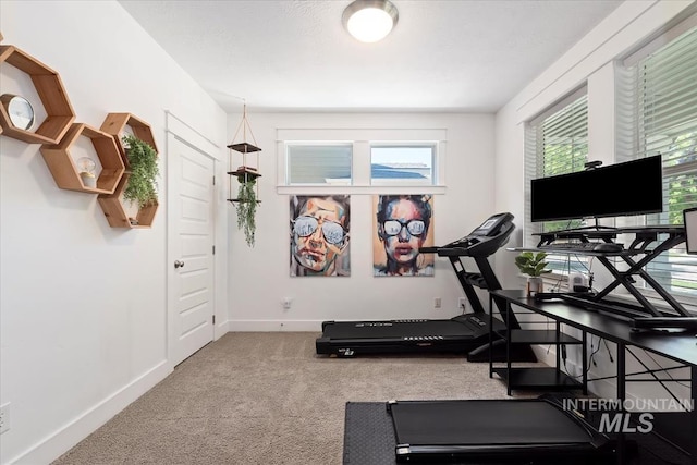 3023 E Tusa St, Meridian, ID 83642 - exercise room with carpet and baseboards