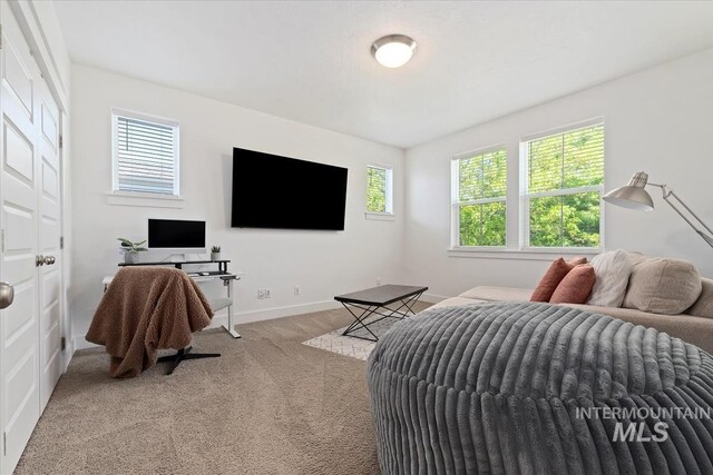 3023 E Tusa St, Meridian, ID 83642 - bedroom featuring multiple windows, carpet floors, and baseboards