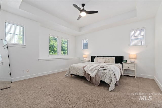 3023 E Tusa St, Meridian, ID 83642 - bedroom featuring a tray ceiling, multiple windows, baseboards, and carpet
