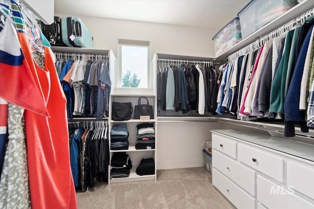 3023 E Tusa St, Meridian, ID 83642 - spacious closet featuring carpet floors