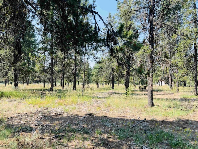 LOT4 Chad Dr, Mccall, ID 83638