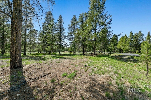 LOT4 Chad Dr, Mccall, ID 83638