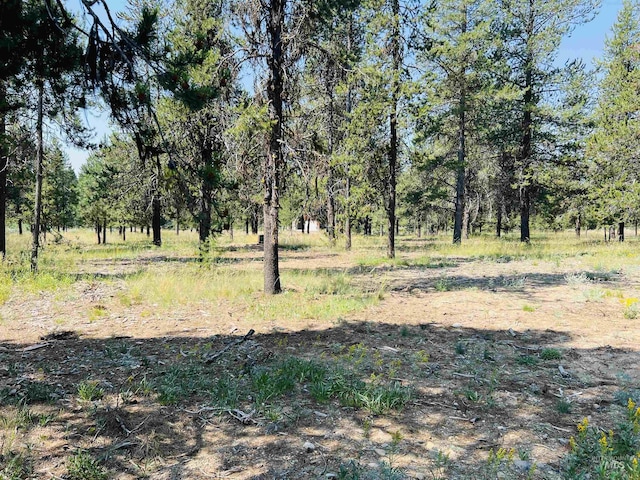 LOT4 Chad Dr, Mccall, ID 83638