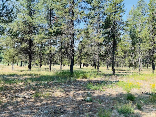 LOT4 Chad Dr, Mccall, ID 83638